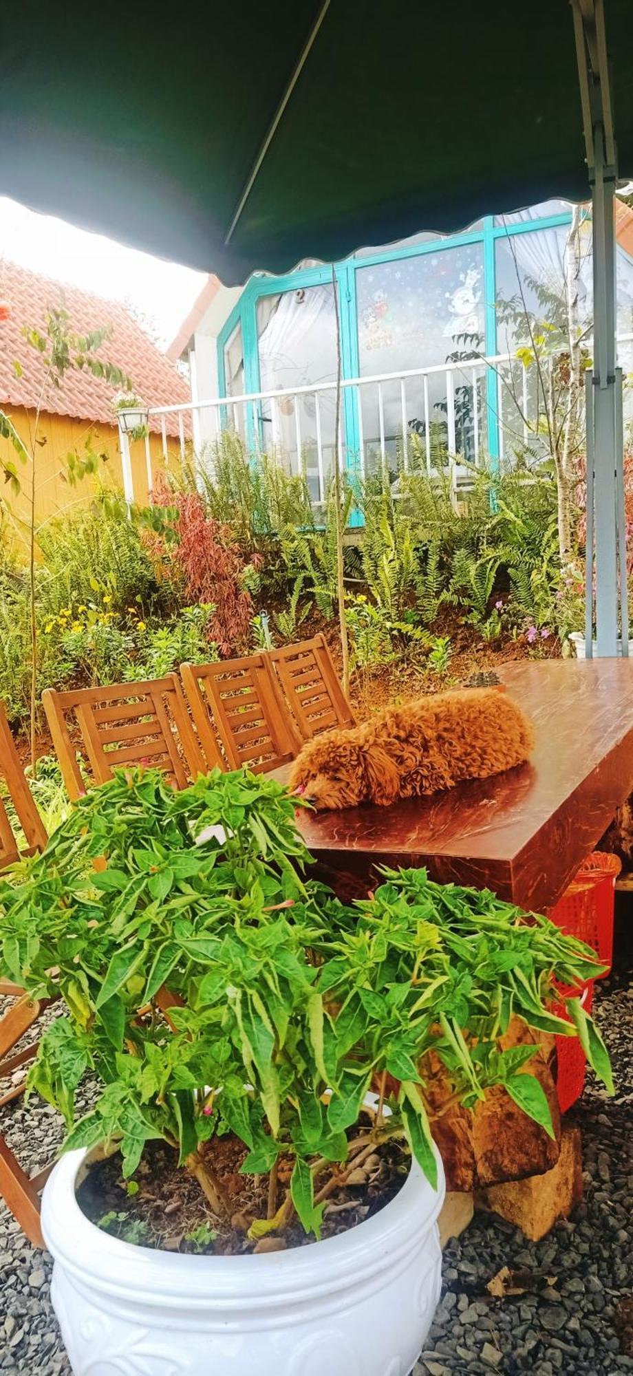 Paradiso Homestay Mangden Kon Von Kla 외부 사진