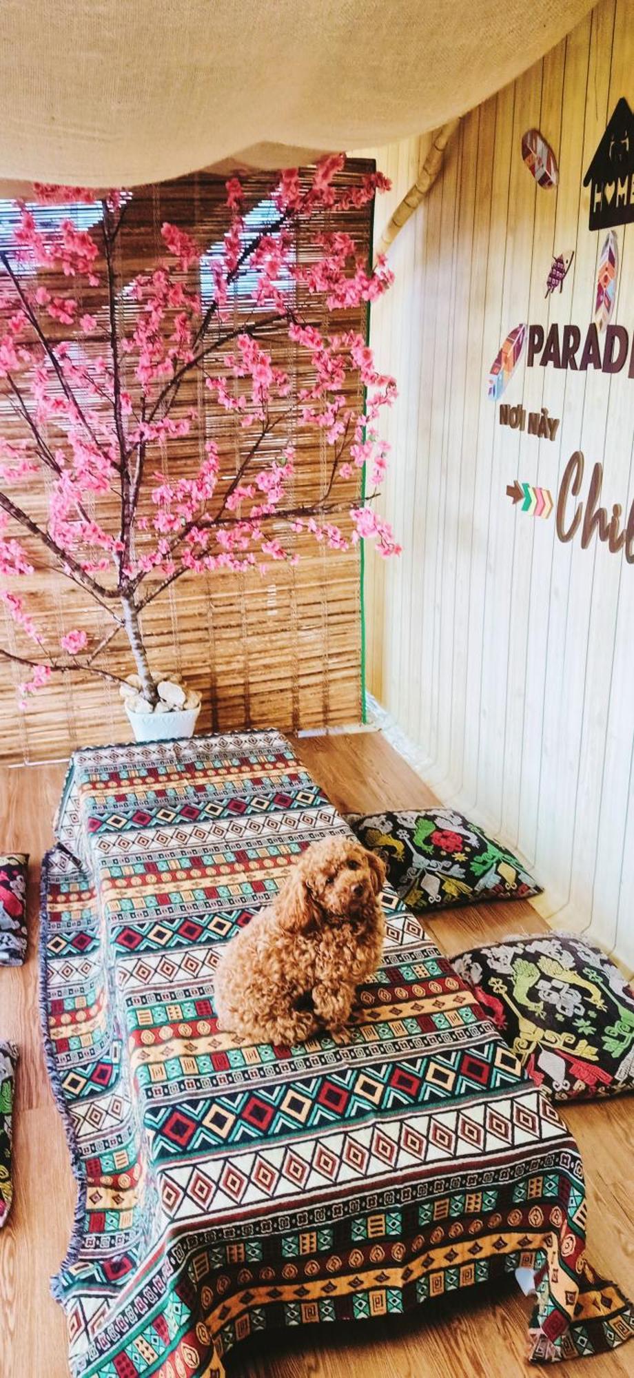 Paradiso Homestay Mangden Kon Von Kla 외부 사진